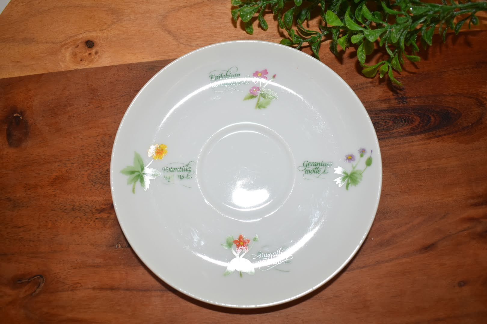 Anchor Hocking Fine Porcelain China - Botanical Floral Pattern - Saucer - Teaspoon Rest