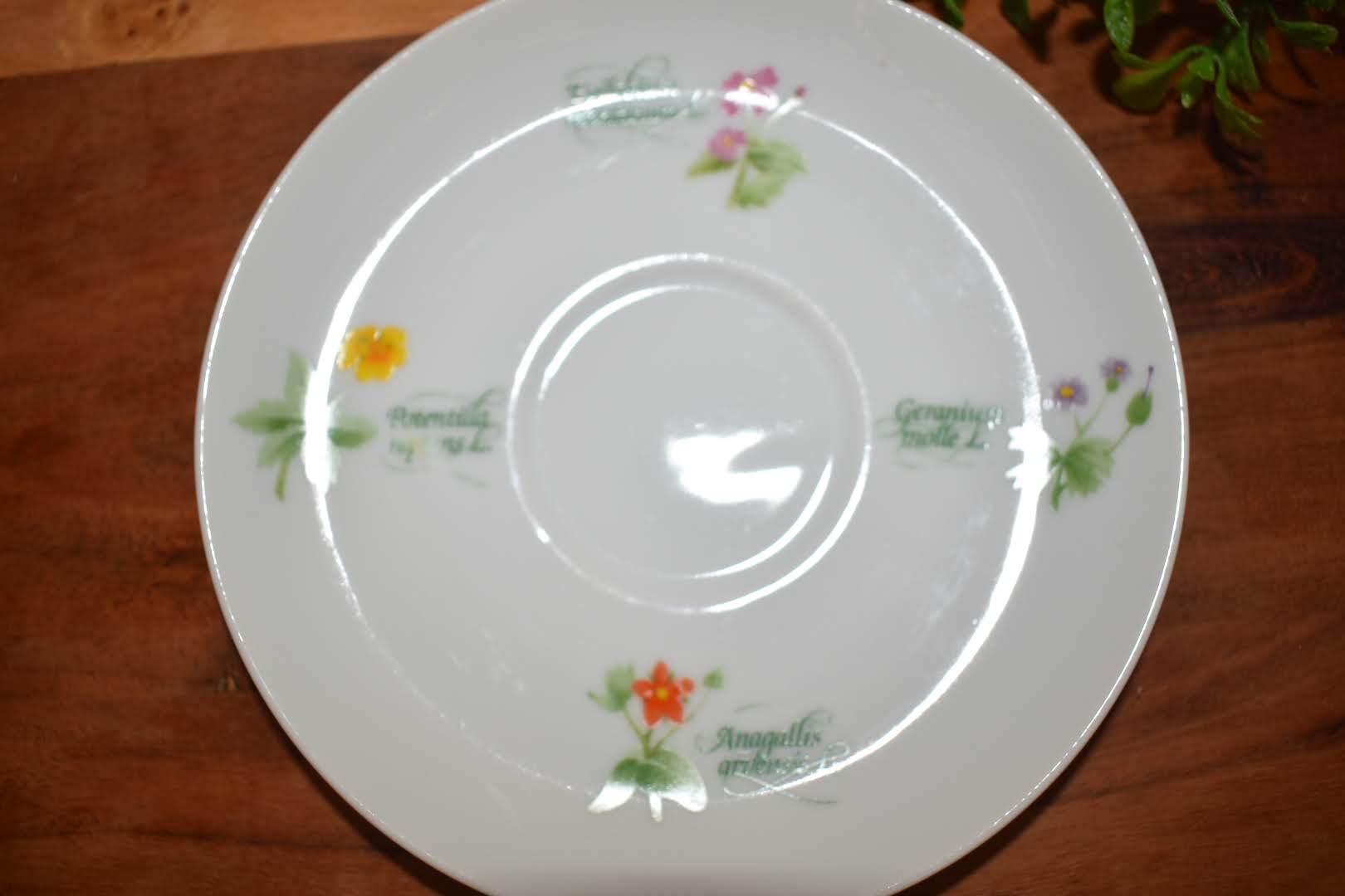 Fine Porcelain China - Botanical Floral Pattern - Saucer - Teaspoon Rest