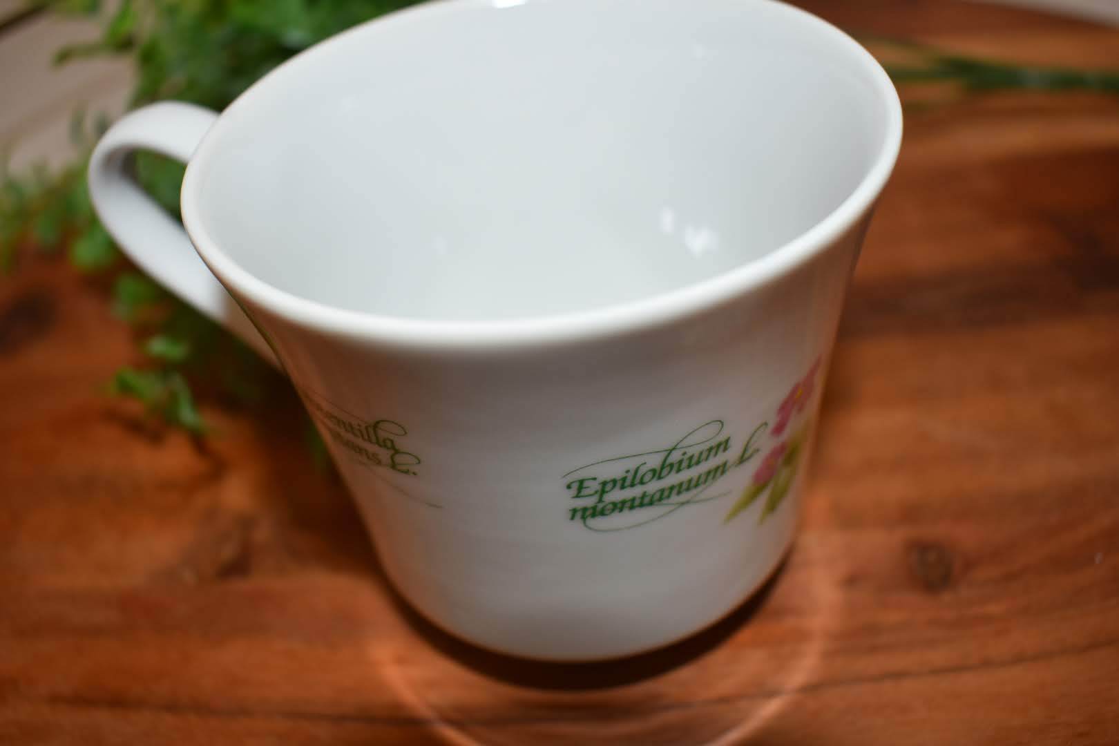 Fine Porcelain China - Botanical Floral Pattern - Tea/Coffee Cup