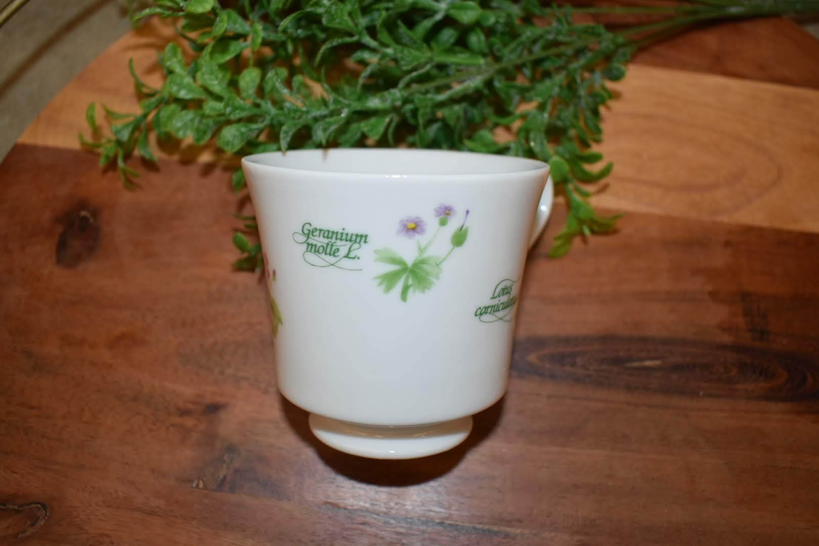 Fine Porcelain China - Botanical Floral Pattern - Tea/Coffee Cup