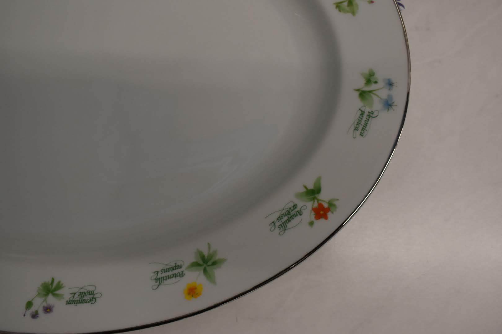 Anchor Hocking Fine Porcelain China - Botanical Floral Pattern - Large Platter