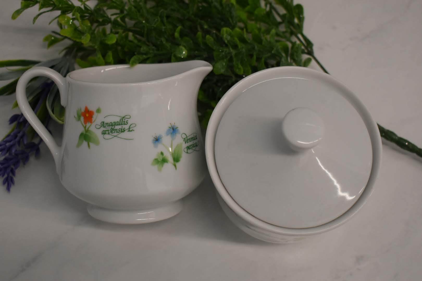 Anchor Hocking Fine Porcelain China - Botanical Floral Pattern - Sugar and Creamer Bowl - Mid Century