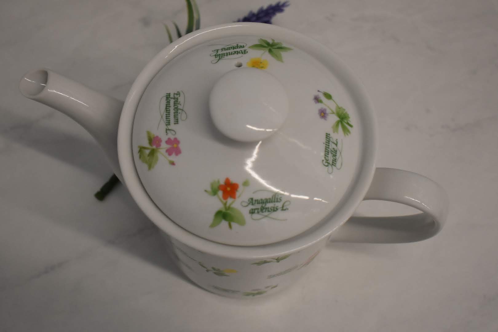 Anchor Hocking Fine Porcelain China - Botanical Floral Pattern - Tall Tea/Coffee Pot - Mid Century