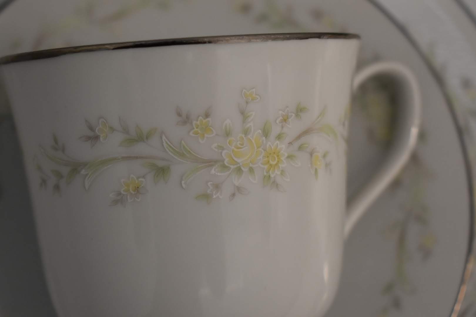 Four Crown China - Porcelain Fine China - Pastel Color - Tea Cup - Platinum Rim