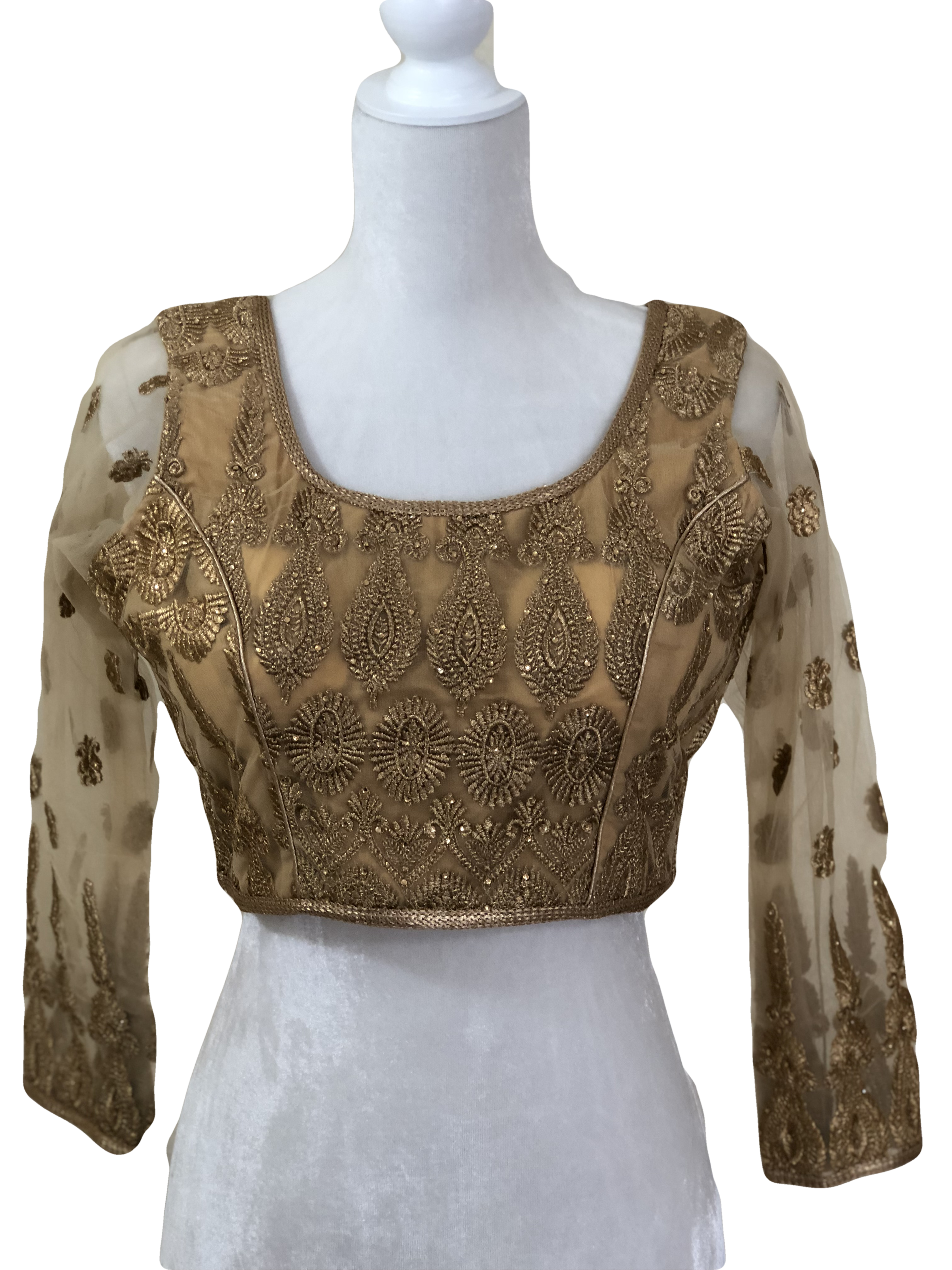 Gold Color - Pure Chiffon Net Blouse - Silk Zari Thread Heavily Embroidered